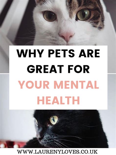 7 Powerful Ways How Pets Improve Your Mental Health