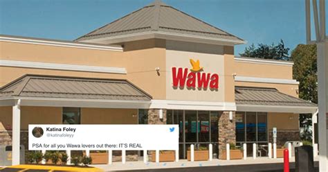 7 Wawa Secrets In Fl For Faster Food