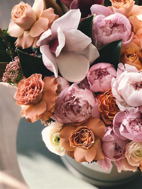 7+ Yale Flower Shop Tips To Save You Money