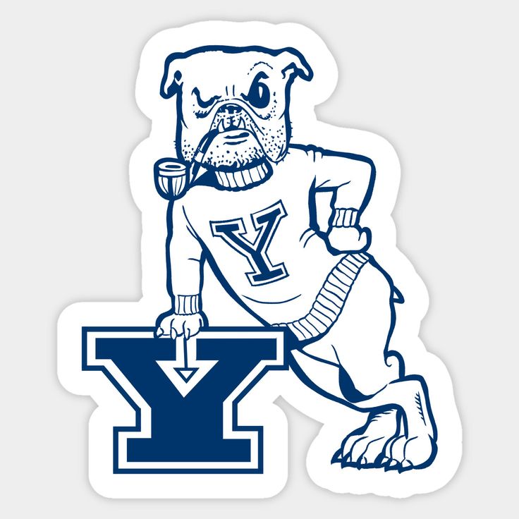 7 Yale Mascot Dog Secrets Revealed