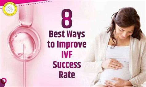 8 Ways To Boost Your Ivf Success Rate Essential Tips