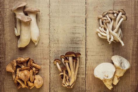 9 Edible Mushrooms That Grow On Wood And You Can Grow At Home