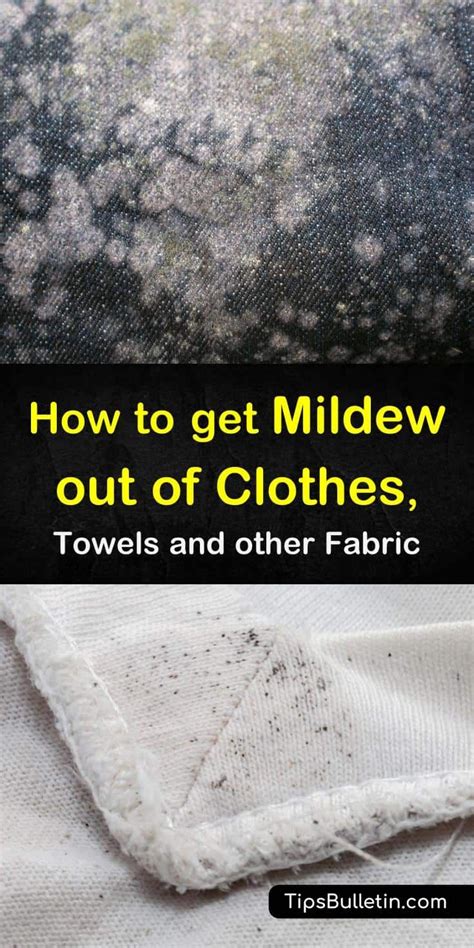 9 Smart Simple Ways To Get Mildew Out Of Clothes In 2020 Mildew