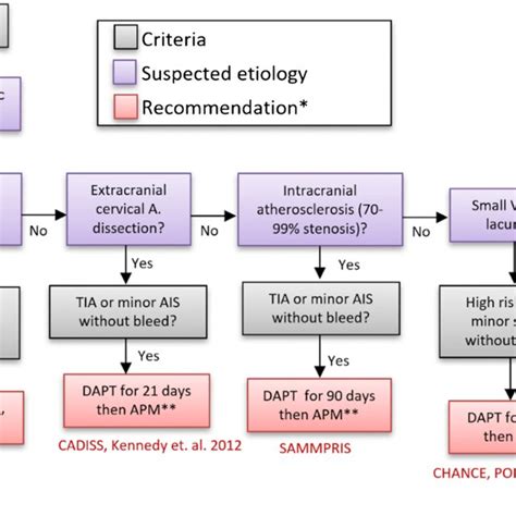 A Clinical Decision Tree Regarding Medical Management For Secondary