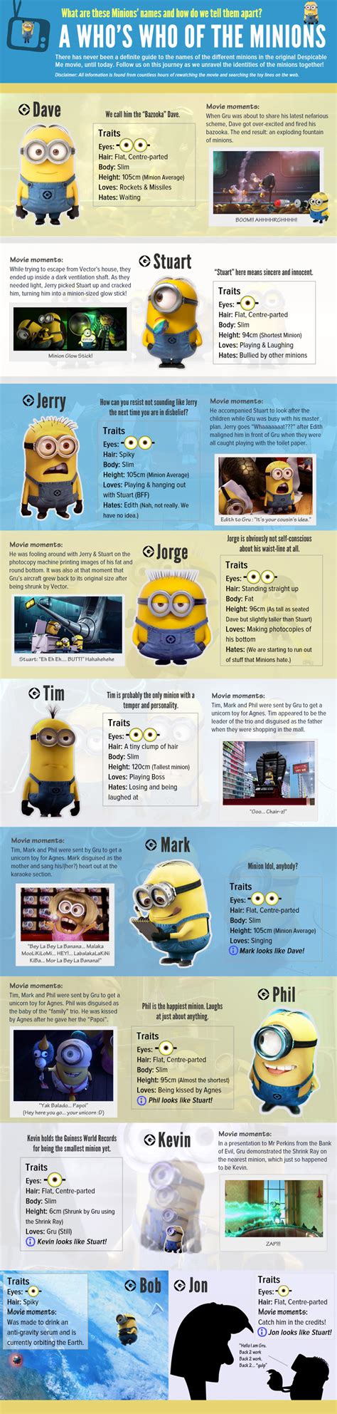 A Complete Introduction To Despicable Me 2 Minions Minions Funny