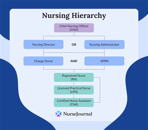 A Guide To The Nursing Hierarchy Nursejournal Org