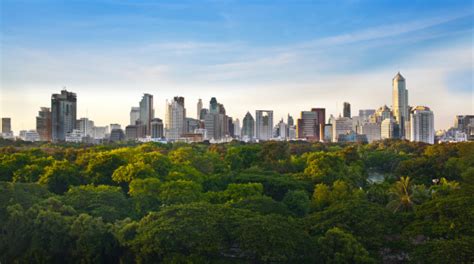 A Landscape Of Some Trees With A City Skyline Behind Them Stock Photo