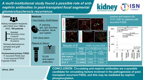 A Multi Institutional Study Found A Possible Role Of Anti Nephrin