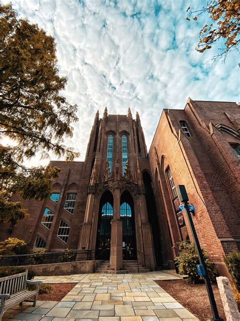 A New Vision For The Renovated Yale Peabody Museum Yale Daily News