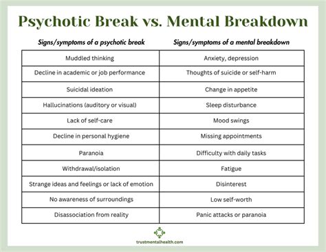 A Psychotic Break Vs A Mental Breakdown Comparing Symptoms And