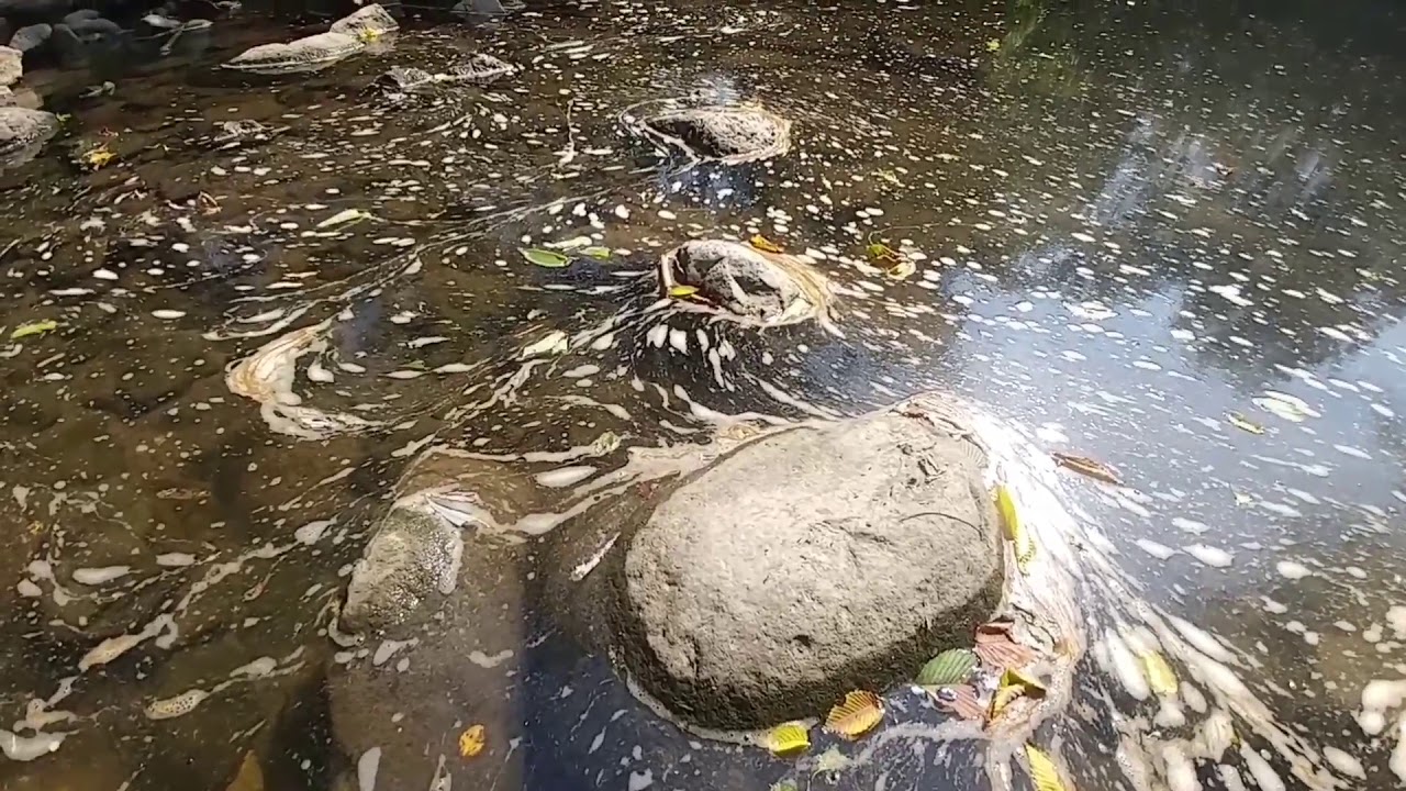 A Quick Ride Through Tom Riley Park In Toronto Youtube