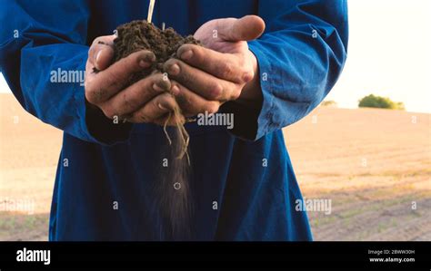 A Young Farmer In A Blue Robe Walks The Field Looking At Planted Plants