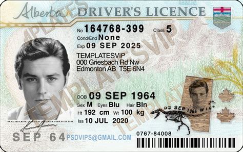 Ab Alberta Operator S Licence Psd Template Download 2022 Templates