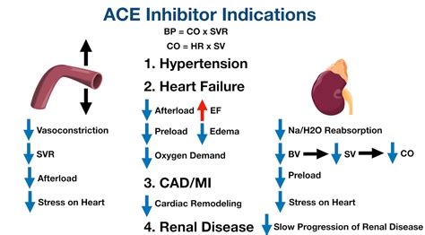 Ace Inhibitors