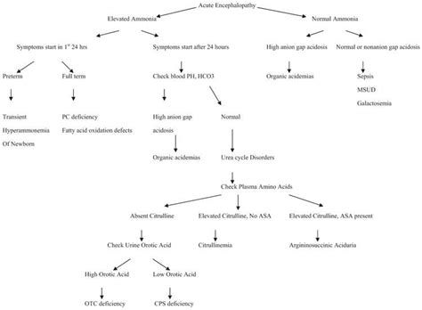 Acute Metabolic Encephalopathy Obgyn Key