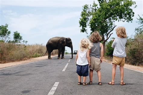 Add Yala National Park To Your Srilanka Bucketlist