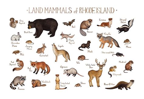 Alberta Animal Guide: Know Your Symbol