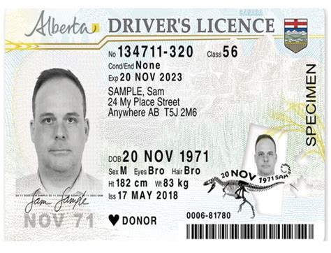 Alberta Considering Adding Citizenship To Driver S Licences Edmonton