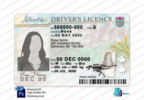 Alberta Driver License Template Psd Stores