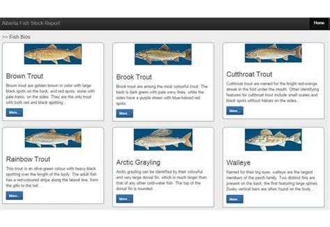 Alberta Fish Stocking Report