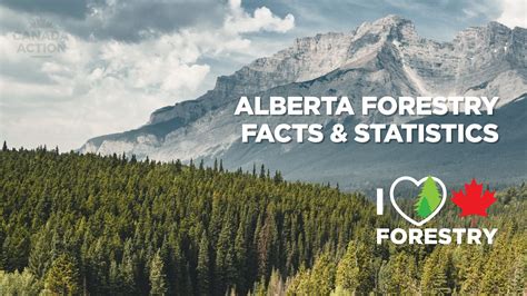 Alberta Forestry Guide: Explore Parks