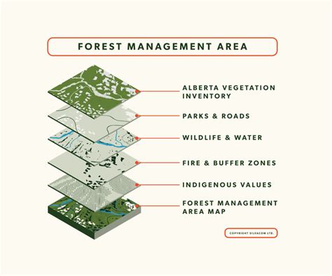 Alberta Forestry Overview: Sustainable Practices