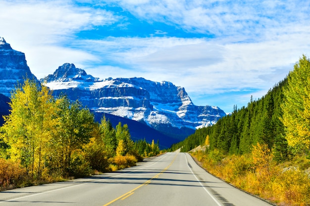 Alberta Highway 93 Guide: Safe Travel Tips