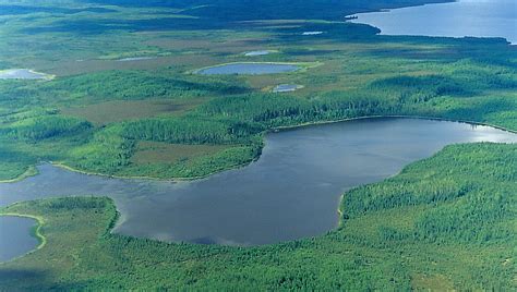 Alberta Now Has World S Largest Expanse Of Protected Boreal Forest