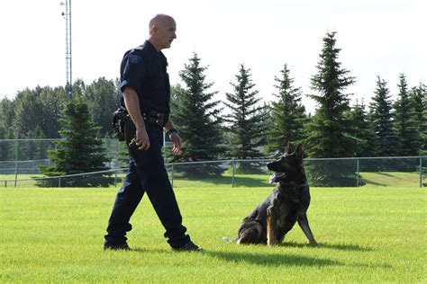 Alberta Rcmp Celebrate A One Of A Kind Partnership With Their Police