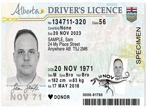 Alberta Redesigns Drivers Licences Adds Iconic Dinosaur Albertosaurus