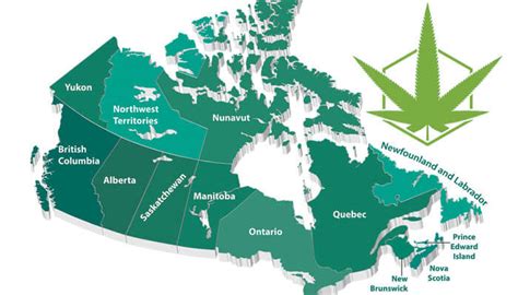 Alberta Weed Laws: Legal Limits Guide