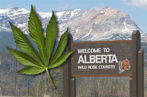 Alberta Weed Laws