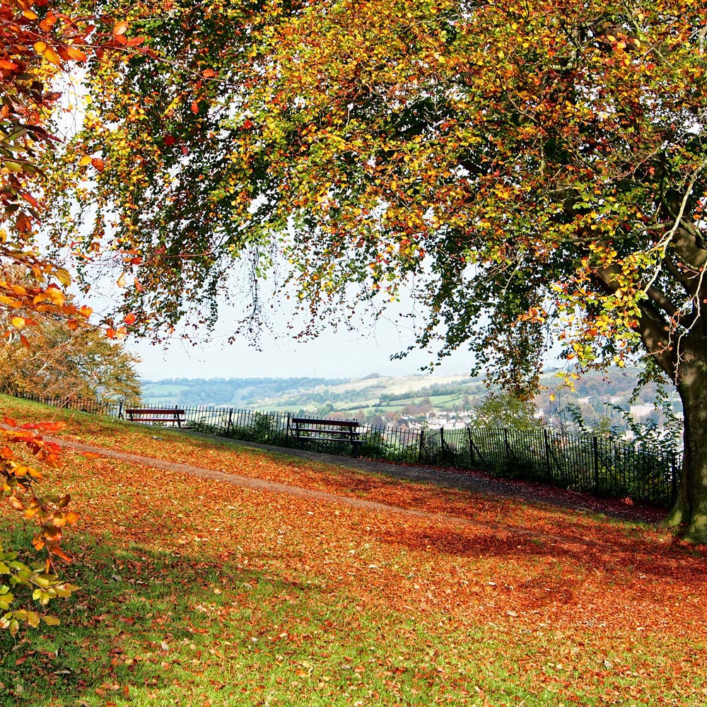 Alexandra Park Bath England Top Tips Before You Go With Photos