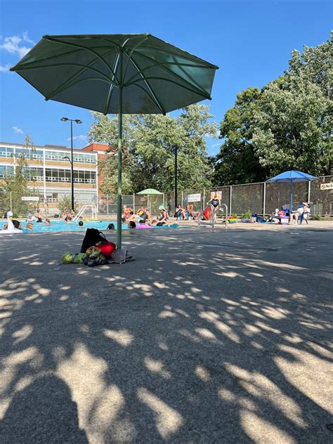 Alexandra Park Pool Updated January 2025 36 Photos 275 Bathurst