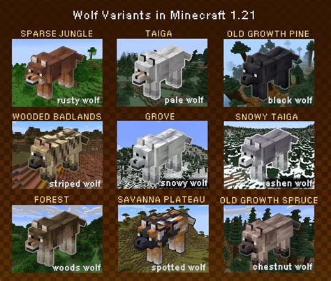 All Minecraft 1 21 Wolf Variants