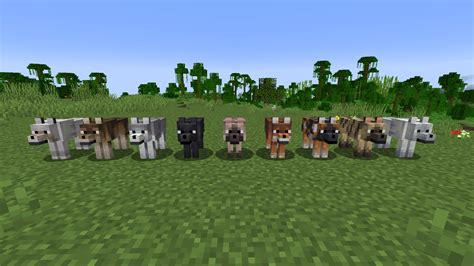 All New Wolf Variants In Snapshot 24W10a R Minecraft