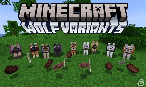 All Wolf Dog Variants In Minecraft And Where To Find Them Beebom