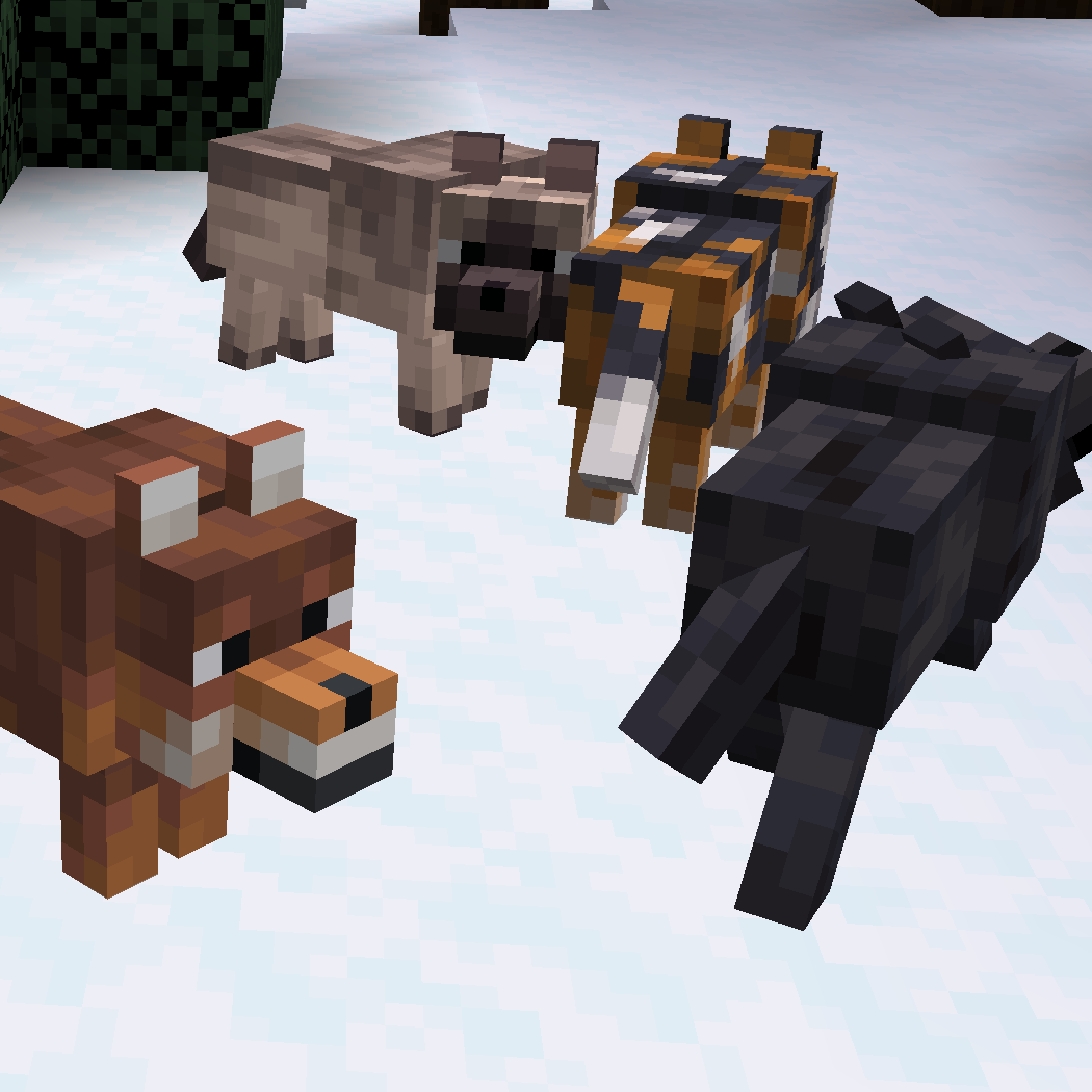 All Wolf Variants Minecraft