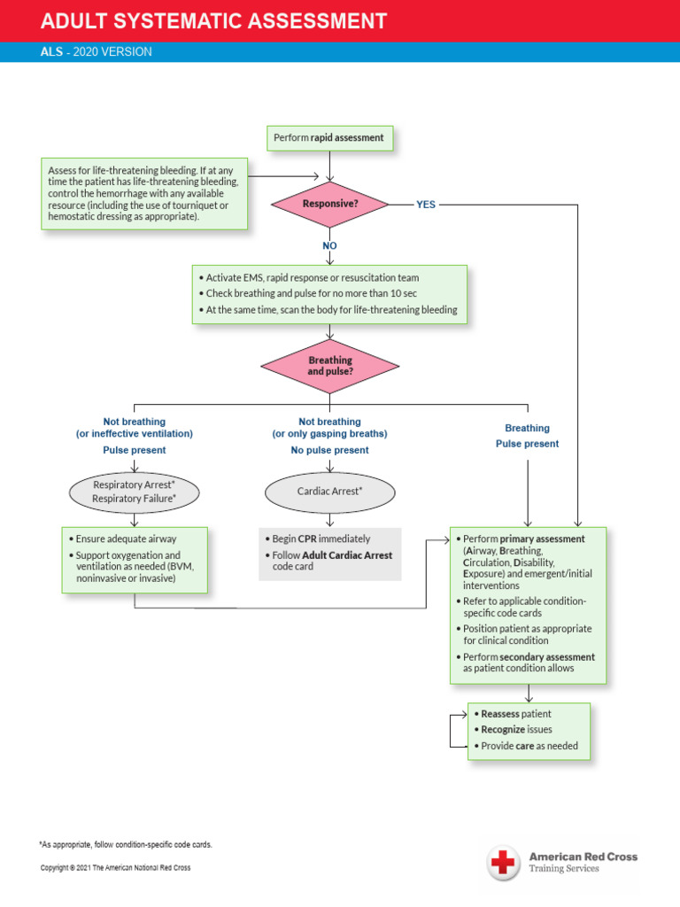 Als Code Card Adult Systematic Assessment Pdf Cardiopulmonary