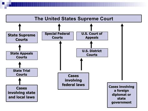 American Court Hierarchy United States Legal System Hierarchy