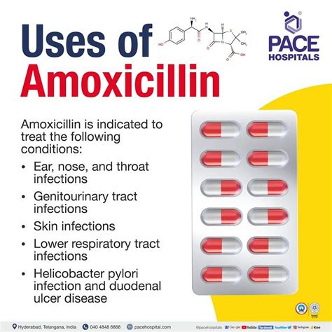 Amoxicillin Urinary Tract