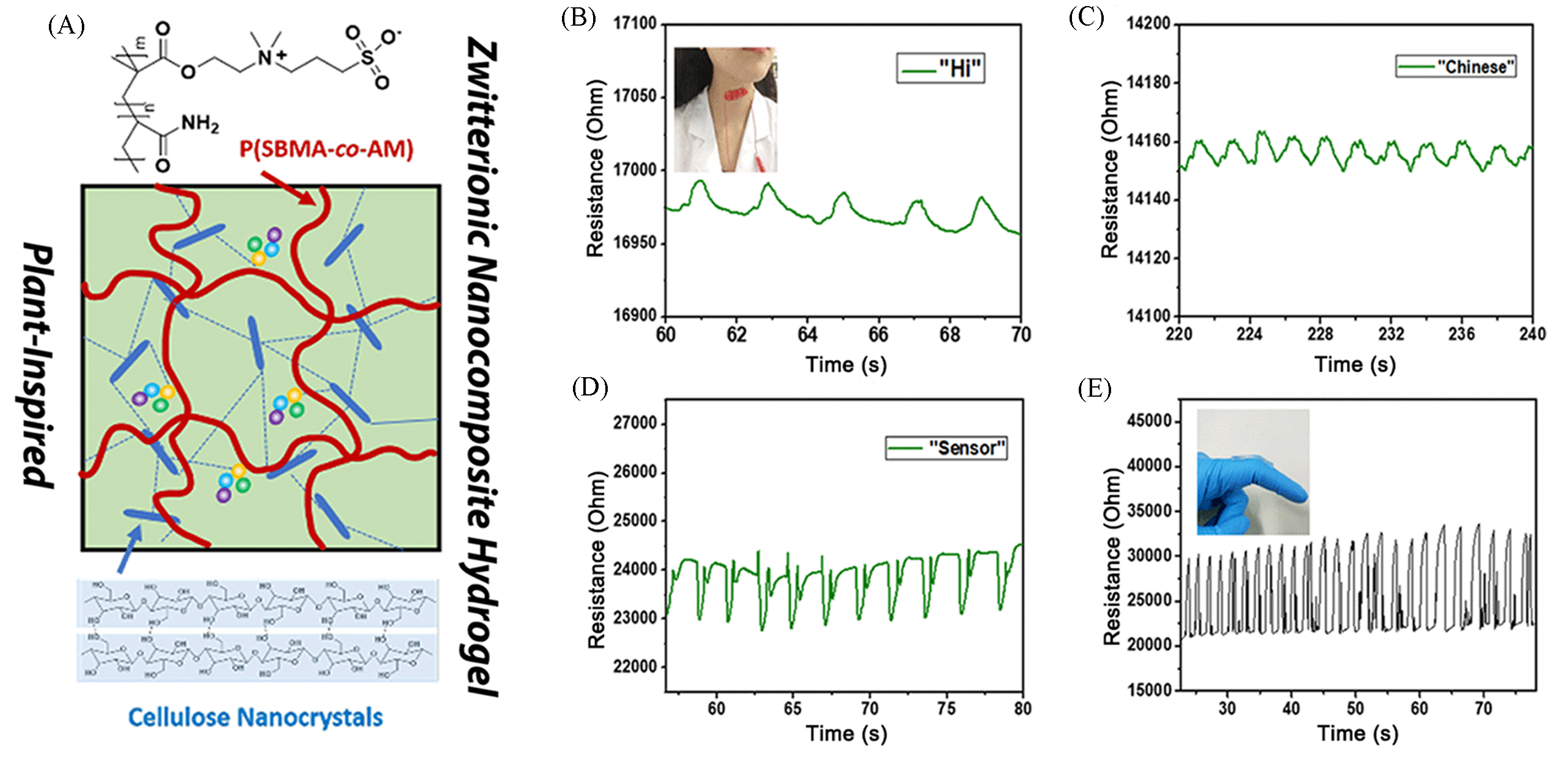 An Antifouling And Antimicrobial Zwitterionic Nanocomposite Hydrogel