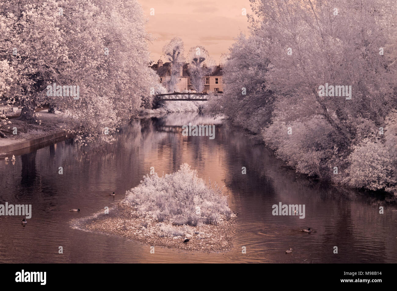 An Autumnal Infrared View Along River Tone From The Weir In French Weir