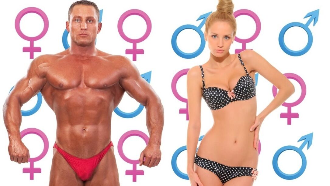 Anatomical Variations Between Male And Female Bodies And Their Impact