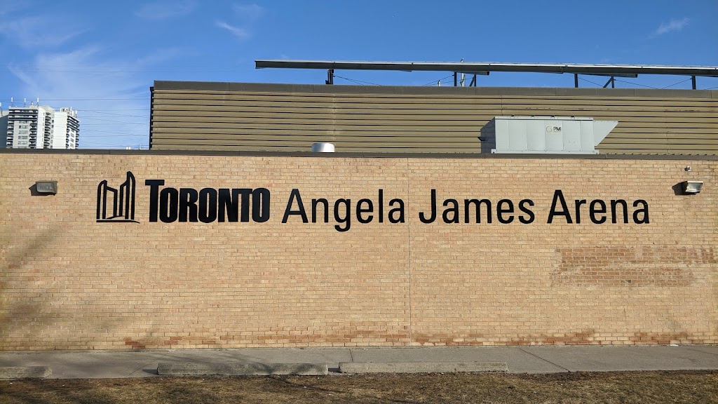 Angela James Arena 165 Grenoble Dr North York On M3c 3E7 Canada