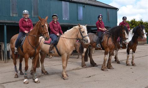 Anglesey Riding Centre Horse Riding In Anglesey Anglesey Attractions