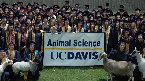 Animal Science Major Uc Davis Animal Science Advising Center