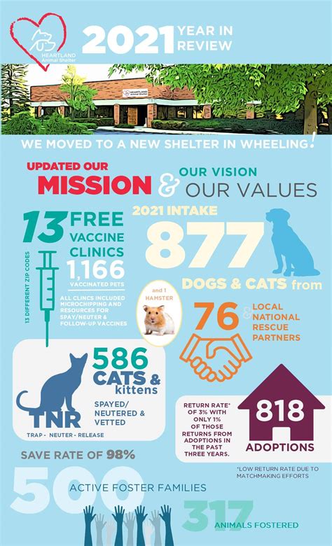 Animal Shelter Progress: Saving More Lives