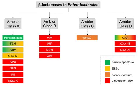 Antibiotics Free Full Text Detection Of Multidrug Resistant