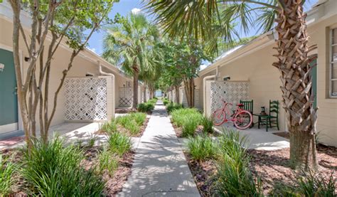 Arbor Lofts 1Br Gainesville Apartments Near The Uf Law School Library